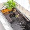 Turtle Tank Aquarium Habitat Kit with Platform and Plants, Easy Water Changes, Durable Design for Aquatic Reptiles view 4