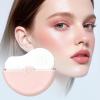 Face Makeup Brush with Soft Bristles and Protective Cover view 3