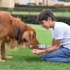 Collapsible Dog Bowl view 2