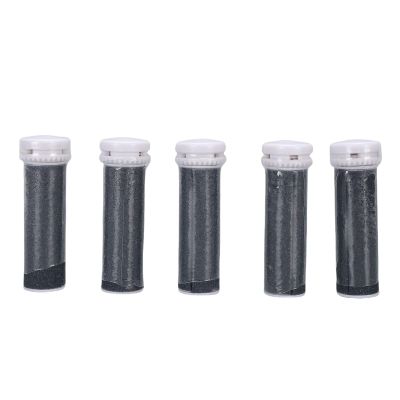 Denash Foot File Roller Heads, Reusable Quartz Stone Rollers for Micro Pedi Nano, 5-Pack