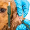 Tick Remover and Flea Control for Professionals or Families view 3