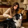 Double-Sided Shedding Brush for Dogs view 2