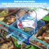 Feeding Ring for Aquarium - Fluorescent Fish Feeder view 4