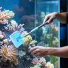 Generic Aquarium Cleaning Sponge with Adjustable-Length Scraper view 2