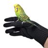 Shntig Bird Training Gloves view 4
