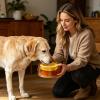 1200 mL Dog Water Bowl with Floating Disc for Cats and Pets view 3