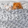 QIANCHAOJI Soft Gray Washable Pet Blanket, Cozy Indoor Mat for Cats, Puppies and Dogs of All Sizes (76 x 104 cm) view 4