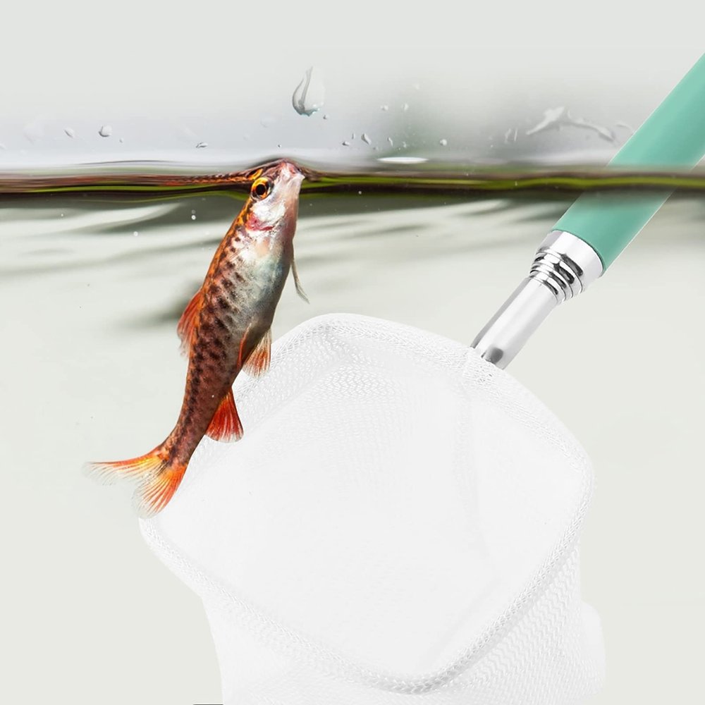NOENNULL Telescopic Fish Net