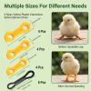 Nevoluxer 20 Pack Chick Leg Correction Bands view 4