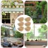 Woven Bird Nest, 6-Pack view 4