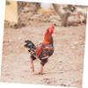 JEWEDECO 4-Pack Adjustable Nylon Rooster Collars view 4