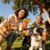 Dog Chew Bone with Squeaker view 4