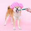 GALPADA 2-Piece Triple-Head Pet Toothbrush view 4