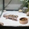 Reptile Mealworm Bowl Set view 2