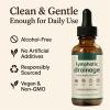 Lymphatic Drainage-l, Lymphatic Drainage Drops, Cleansing & Detoxification, Natural Herbs, Easy to Use, Vegan & Sugar-Free, Detoxification for Your Body view 4