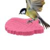 Bird Perch - Cockatiel Foot Care Stand, 13.5 x 10 x 1 cm view 1