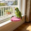 Bird Perch - Cockatiel Foot Care Stand, 13.5 x 10 x 1 cm view 3