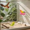 Bird Perch - Cockatiel Foot Care Stand, 13.5 x 10 x 1 cm view 4