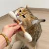 Kaeltsyn Cat Chew Sticks view 2