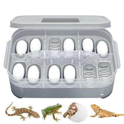 Transparent Snake Egg Incubator with 12 Grids