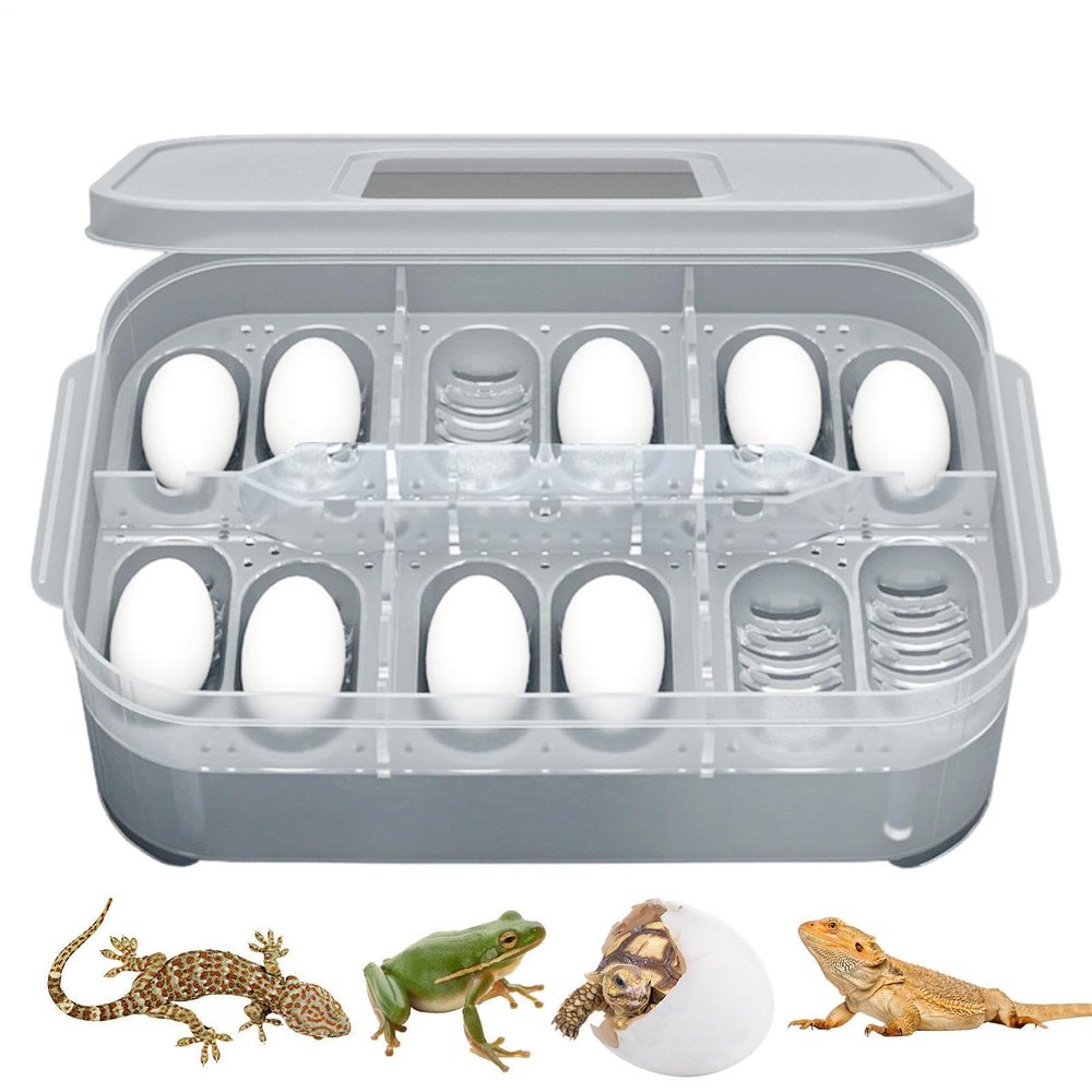 Transparent Snake Egg Incubator with 12 Grids