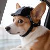 Dog Helmet with Ear Holes for Small to Large Breeds view 3