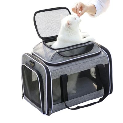 Soft-Sided Foldable Expandable Cat Carrier
