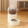 Automatic Dog Food and Water Dispenser for Dogs and view 3
