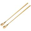 GALPADA 2-Pack Stainless Steel Feeding Spoon for Reptiles and Lizards view 1