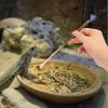 GALPADA 2-Pack Stainless Steel Feeding Spoon for Reptiles and Lizards view 4