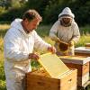 EUBEISAQI Bee Box Excluder for Beekeeping view 2