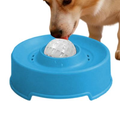 Interactive Slow Feeder for Dogs