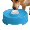 Interactive Slow Feeder for Dogs view 1