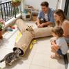 Compact Interactive Cat Toy view 3