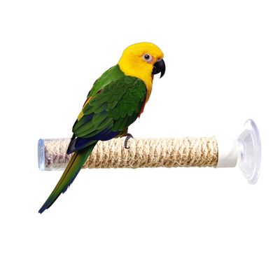 Portable Suction-Cup Bird Perch for Travel, Cars, and Indoor or Outdoor Use