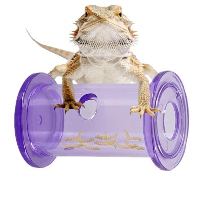 Reptile Food Dispenser - Slow Feeding Cylinder