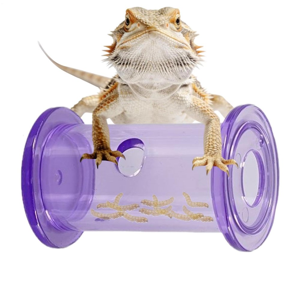 Reptile Food Dispenser - Slow Feeding Cylinder