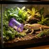 Reptile Food Dispenser - Slow Feeding Cylinder view 3