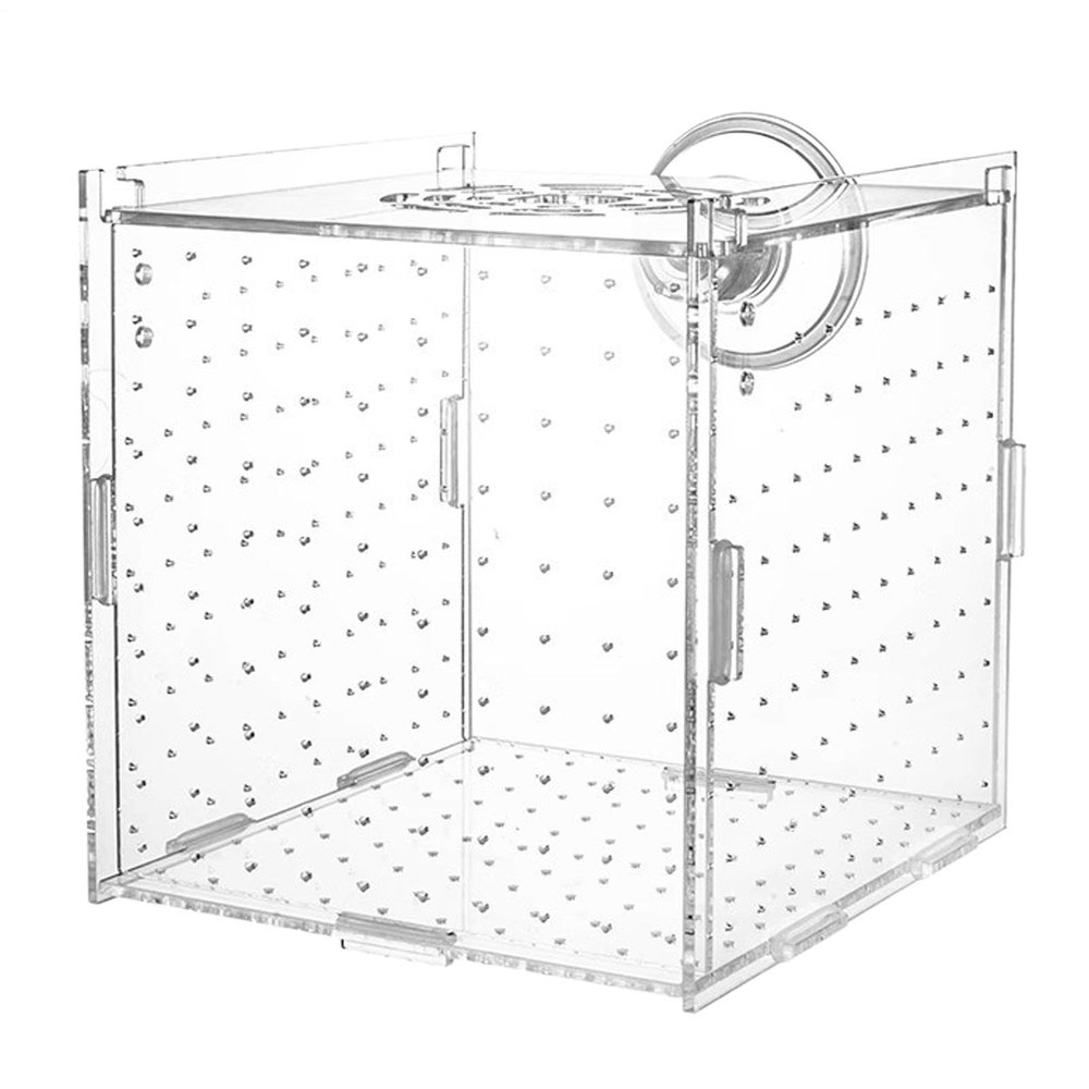 15 cm Clear Acrylic Fish Breeder Box with Twin Divider