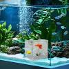 15 cm Clear Acrylic Fish Breeder Box with Twin Divider view 2