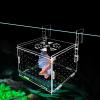 15 cm Clear Acrylic Fish Breeder Box with Twin Divider view 3
