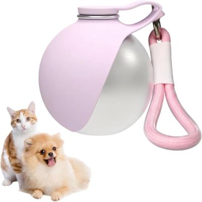 Portable Pet Water Bottle, 285 ml, Compact, for Dogs and Cats, Leakproof Bowl with Removable Silicone Bowl for Outdoor Walks and Hiking, New Model