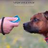 Kichvoe Dog Training Clicker - 2 Pack view 4