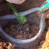 Kaeltsyn Garden Protection Mesh Basket, Plant Root Wire Mesh Bag, Vole Protection Bag, Flower Bulb Cage view 4