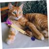 minkissy 2 Pack Silvervine Cat Chew Toy Sticks view 4
