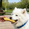 Squeaky Dog Toy for Dental Care view 2