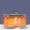 SHOWERORO 8 L Oxford Fabric Car Heating Bag with Handle and 12 V Charger view 4