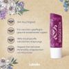 Labello Blackberry Pie Limited Edition Bridgerton Lip Balm, 4.8 g view 2