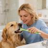 Generic 2026 Professional 3-Sided Toothbrush Set for Dogs and Cats, One Size view 2