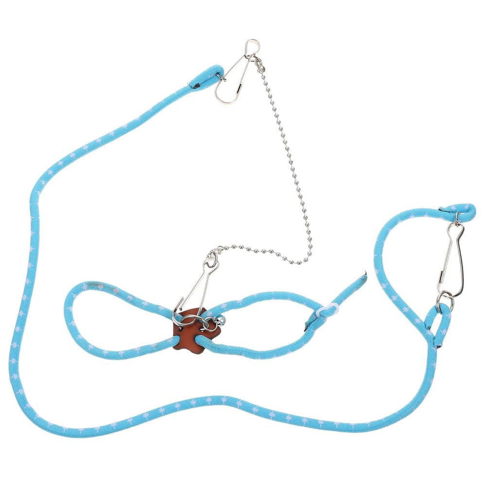 Artibetter Blue Metal Outdoor Leash for Small Pets